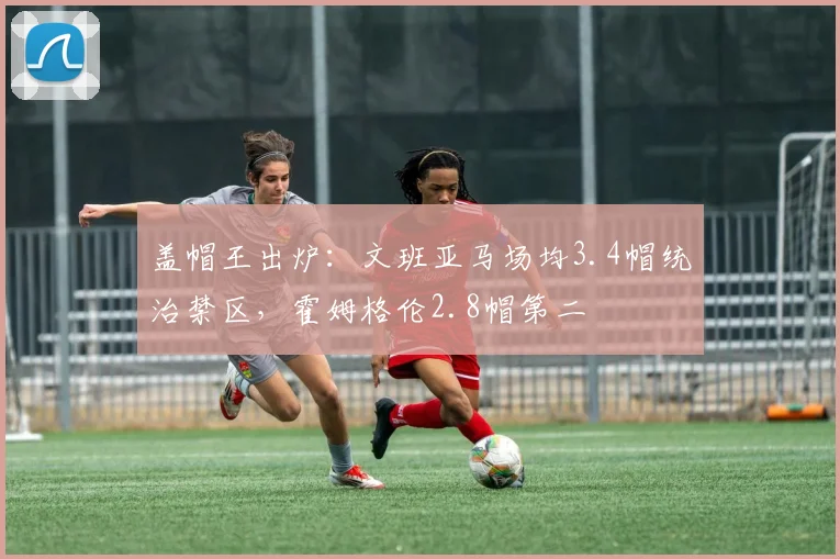 盖帽王出炉：文班亚马场均3.4帽统治禁区，霍姆格伦2.8帽第二